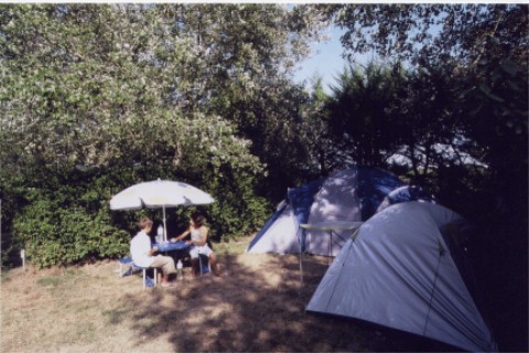 wempl04.jpg
